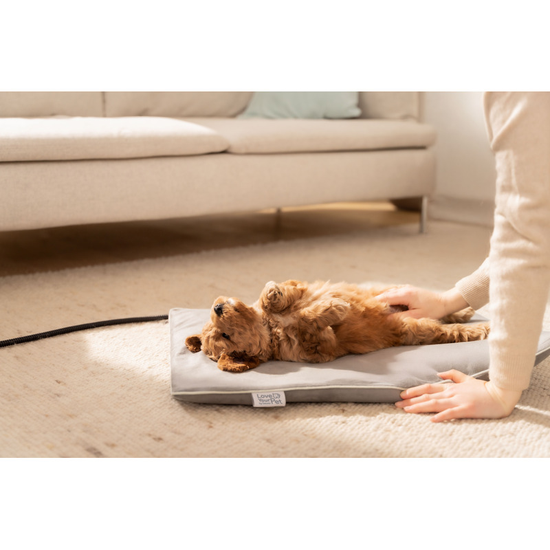 Beurer PP 210 Lilli vyhřívaná podložka pro zvířata